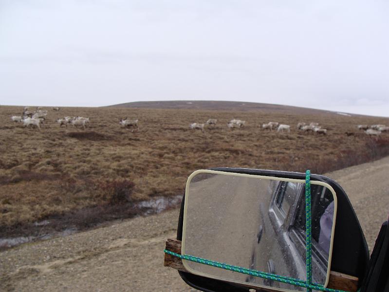 Alaska 2008 180.jpg